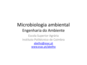 Atividades microbianas com relevância ecológica
