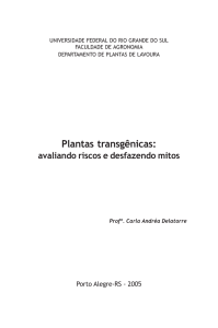Plantas transgênicas