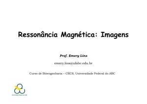 Aula 11 e 12 – Imagens da Ressonância Magnética