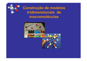 Construção de modelos tridimensionais de macromoléculas