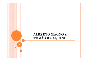 7 ano ALBERTO MAGNO e Toms de Aquino