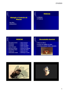 Microsoft PowerPoint - Biologia e Controle de D