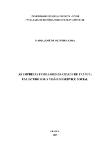 AS EMPRESAS FAMILIARES DA CIDADE DE FRANCA: UM