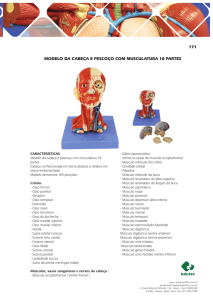 Modelos Anatomicos.indd
