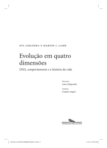 Evolução em quatro dimensões