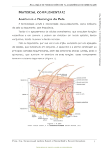 1. Anatomia e Fisiologia da Pele