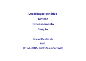 Processamento da molécula de tRNA
