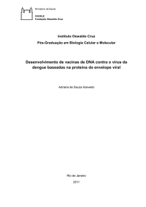 Desenvolvimento de vacinas de DNA contra o vírus da