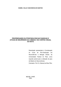 - Livros Gr&aacute;tis