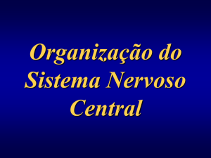 18-Organização do Sistema Nervoso Central