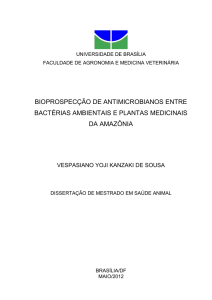 bioprospecção de antimicrobianos entre bactérias ambientais e