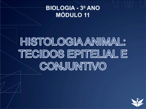 HISTOLOGIA ANIMAL: TECIDOS EPITELIAL E CONJUNTIVO