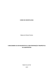 CURSO DE ODONTOLOGIA Maiana de Oliveira Ferreira O