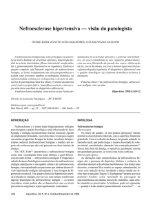 Nefroesclerose hipertensiva — visão do patologista