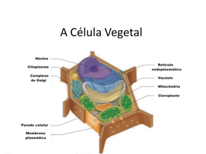 A Célula Vegetal