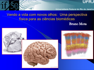 Topologia, Geometria e a forma do Universo
