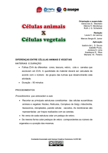 Células animais e vegetais – Atividade