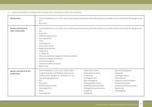 apoio diagnóstico mínimo necessário nos diferentes níveis de atenção