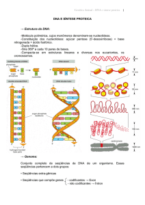 DNA e Síntese Proteica
