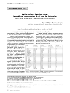 Epidemiologia da tuberculose: importância no mundo