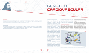 Genética cardiovascular Introdução à genética molecular. Mafalda