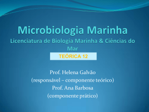 Microbial Biology II Módulo: Protozoários