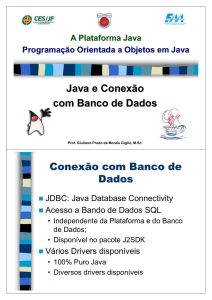 Java e Conexão com Banco de Dados Conexão com Banco de Dados