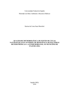 Universidade Federal de Itajubá Mestrado em Meio Ambiente e