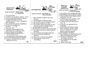 Bactérias e Vírus - ICB-USP