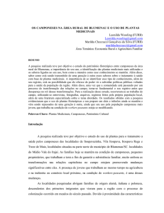 OS CAMPONESES NA ÁREA RURAL DE BLUMENAU E O