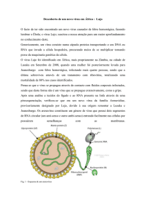 Descoberta de um novo vírus em África : Lujo O facto de ter sido