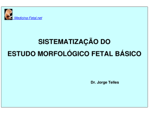 Medicina-Fetal.net