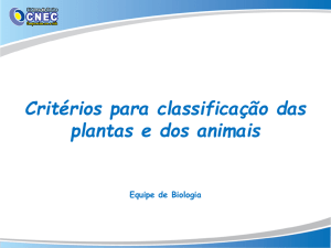 Critérios para classificação das plantas e dos animais