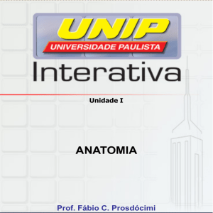 anatomia - UNIPVirtual