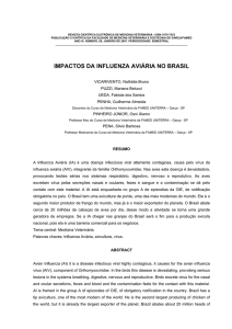 impactos da influenza aviária no brasil