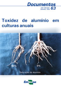 toxidez por aluminio em culturas anuais - Infoteca-e