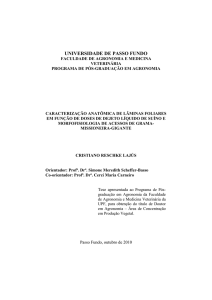 Caracterização anatômica de lâminas foliares em - PPGAgro