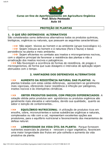 Curso on-line de Aperfeiçoamento em Agricultura