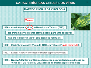 características gerais dos vírus