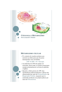 13. Citologia – Metabolismo