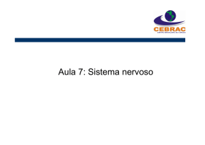 Aula 7 -Sistema nervoso