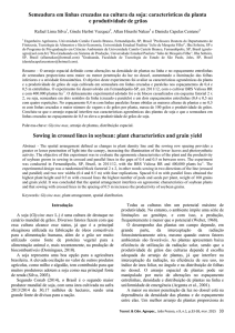 características da planta e produtividade de grãos Sowing