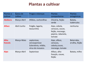 Tabela hortícolas