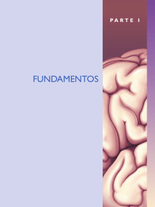 fundamentos