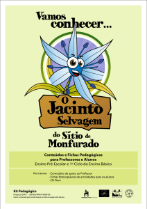 O Jacinto