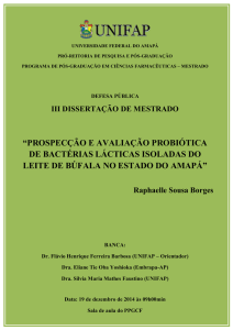 prospecção e avaliação probiótica de bactérias lácticas