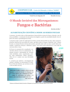 Fungos e Bactérias