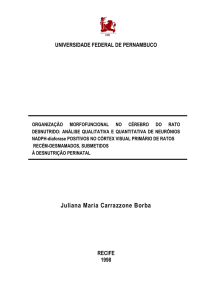 Juliana Maria Carrazzone Borba