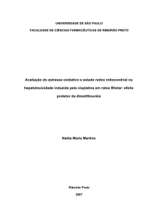 Avaliação do estresse oxidativo e estado redox mitocondrial na