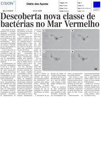 Descoberta nova classe de bactérias no Mar Vermelho